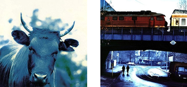 Blue Cow and Larry and Bono Walking in Hackescher Markt Berlin from the Achtung Baby Cover by Anton Corbijn