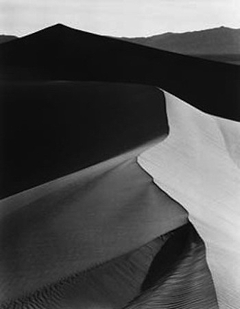 Black and White Desert Landscape