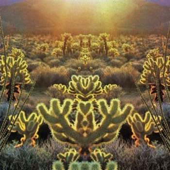 Desert Plants