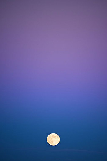 Gold Moon in Rich Blue and Purple Night Sky