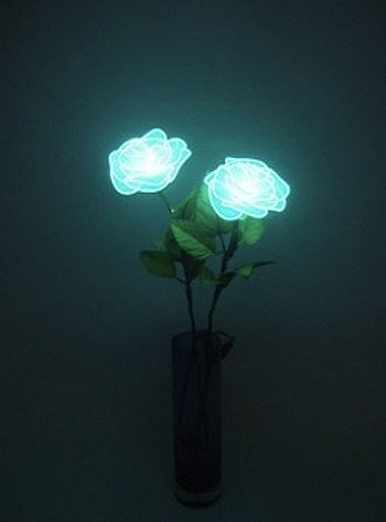 Neon Flowers