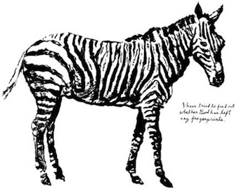 Raymond Pettibon Zebra